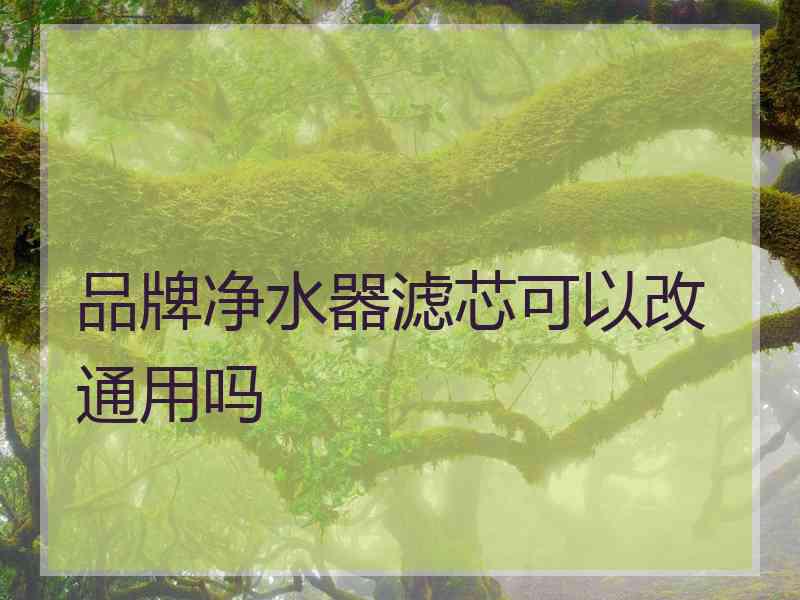 品牌净水器滤芯可以改通用吗