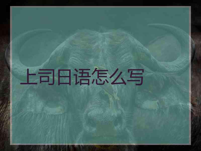 上司日语怎么写