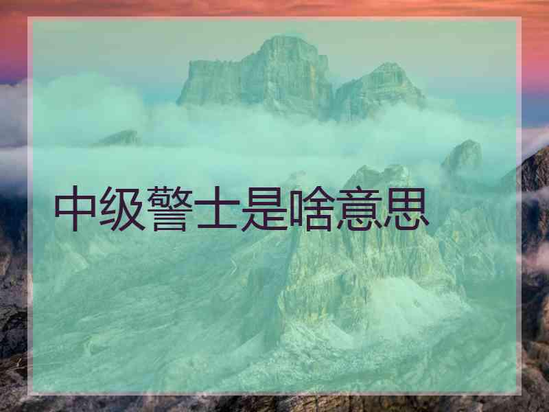 中级警士是啥意思