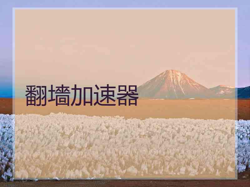 翻墻加速器