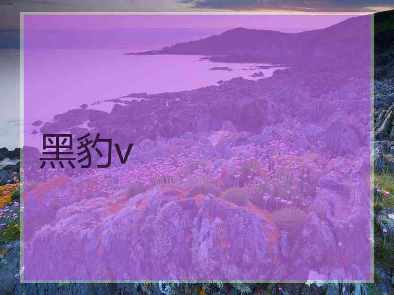 黑豹v