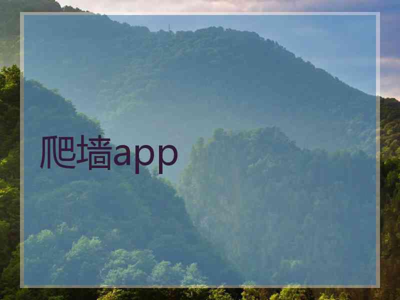 爬墙app