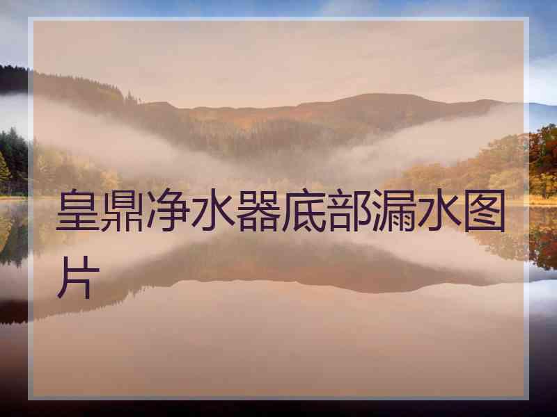 皇鼎净水器底部漏水图片