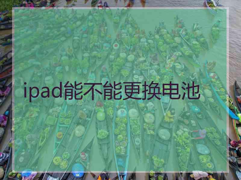 ipad能不能更换电池