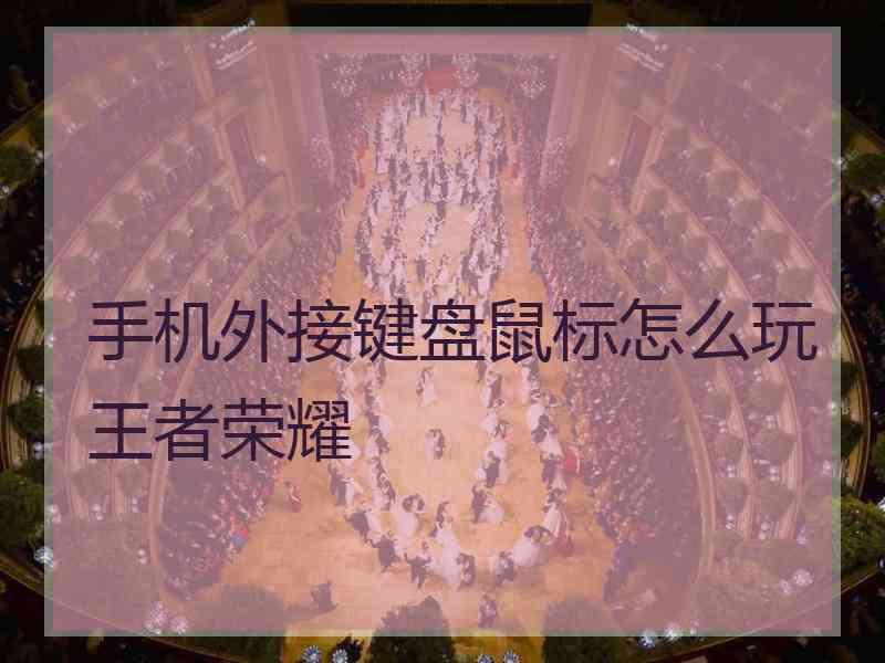 手机外接键盘鼠标怎么玩王者荣耀