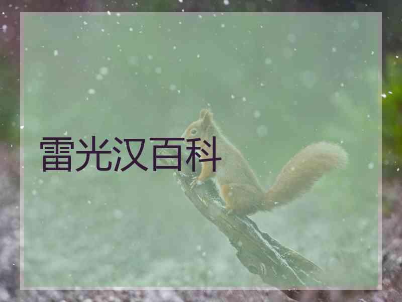 雷光汉百科