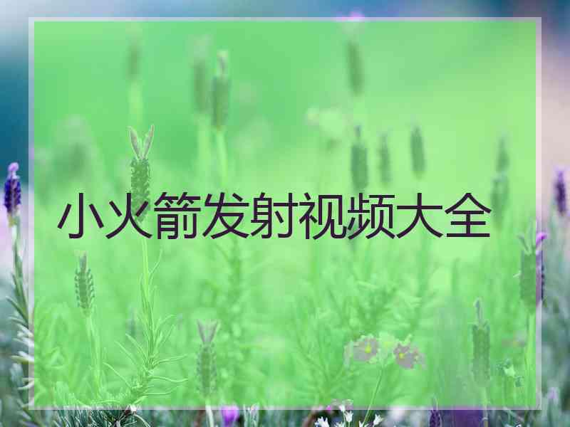 小火箭发射视频大全