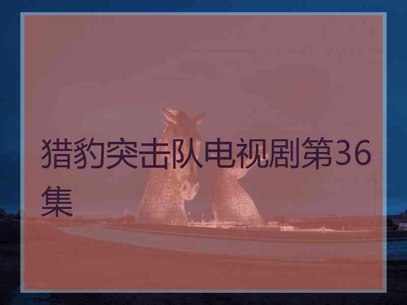 猎豹突击队电视剧第36集