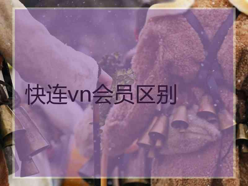 快连vn会员区别