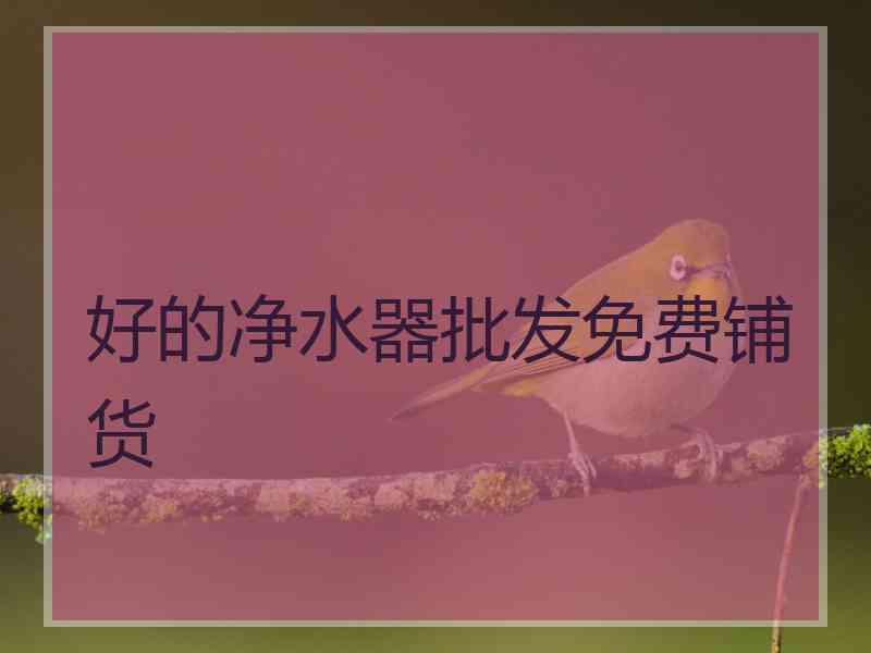 好的净水器批发免费铺货