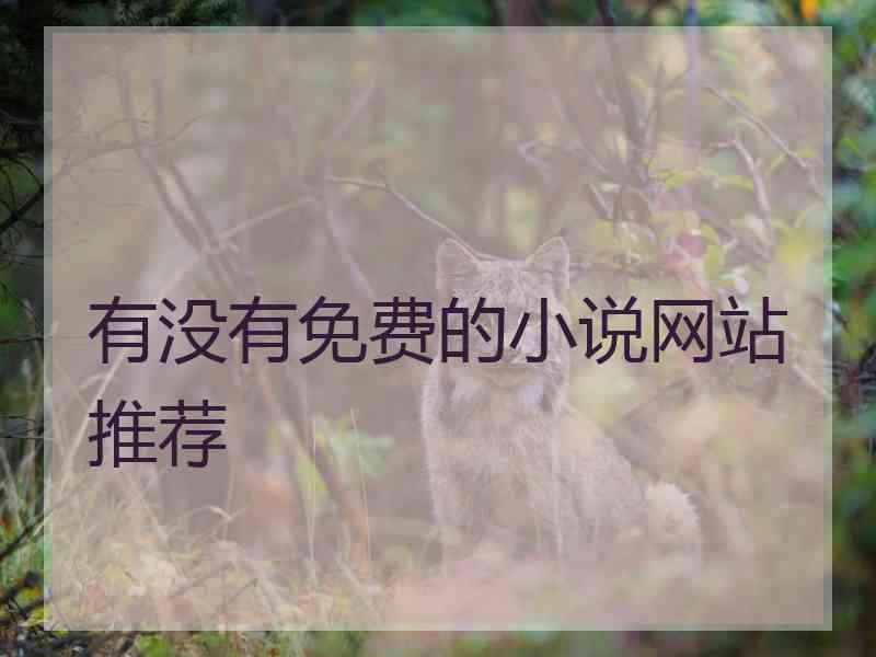 有没有免费的小说网站推荐
