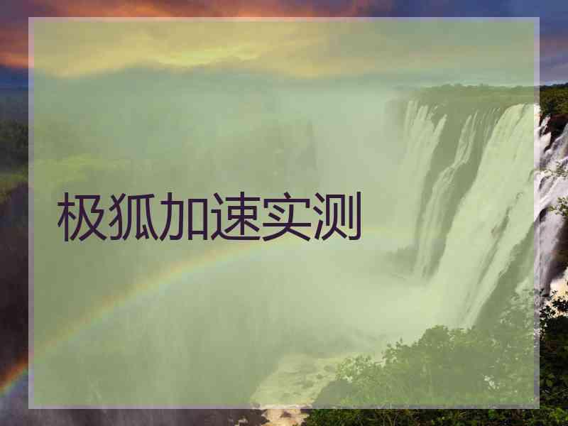 极狐加速实测