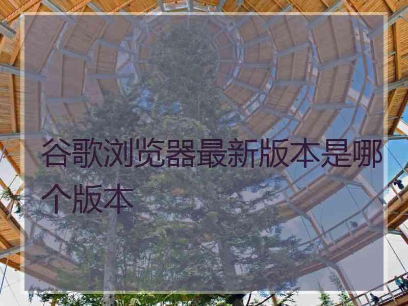 谷歌浏览器最新版本是哪个版本