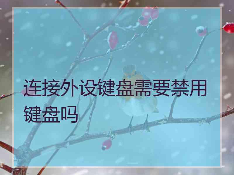 连接外设键盘需要禁用键盘吗