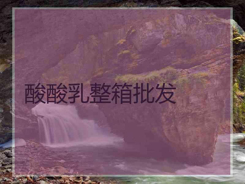 酸酸乳整箱批发
