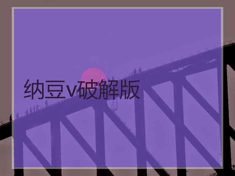 纳豆v破解版