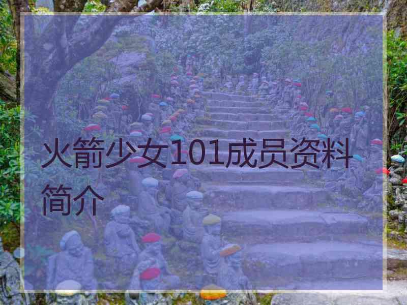 火箭少女101成员资料简介