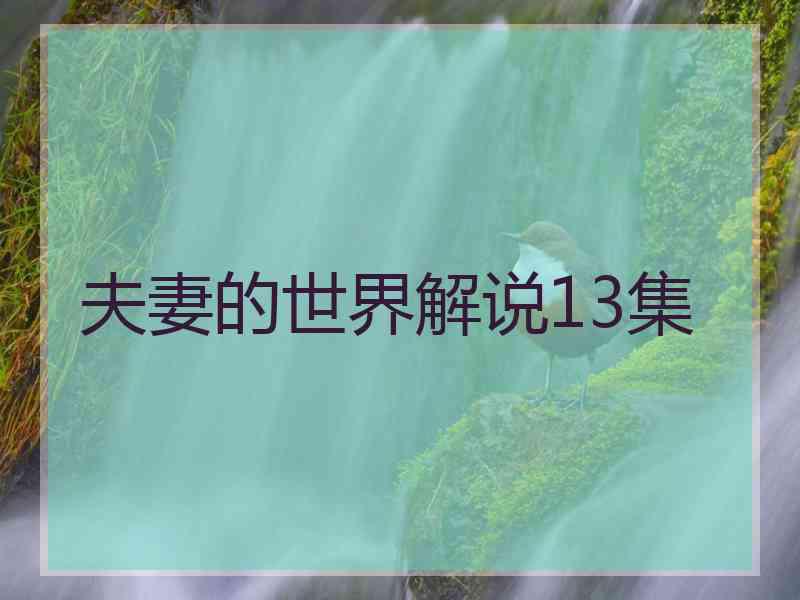 夫妻的世界解说13集