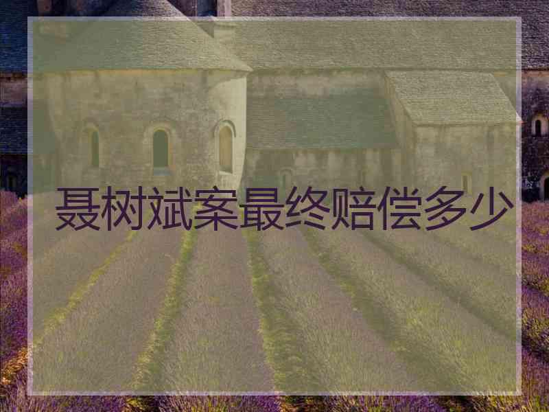聂树斌案最终赔偿多少