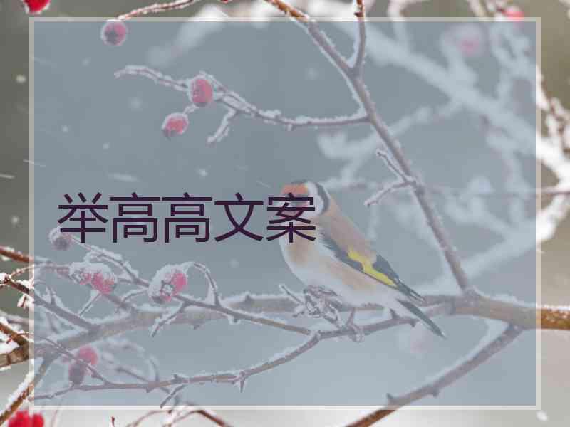 举高高文案