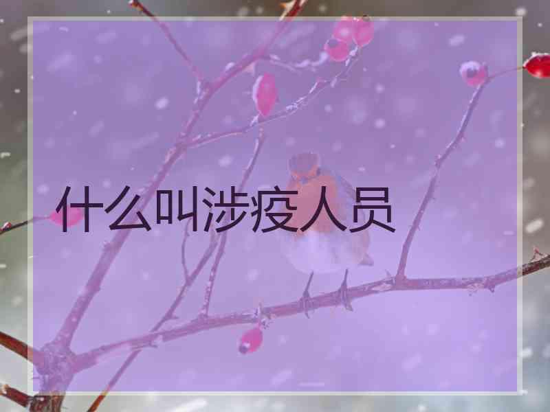 什么叫涉疫人员