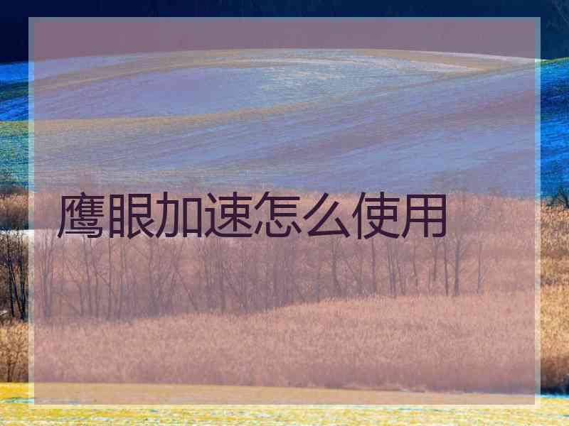 鹰眼加速怎么使用