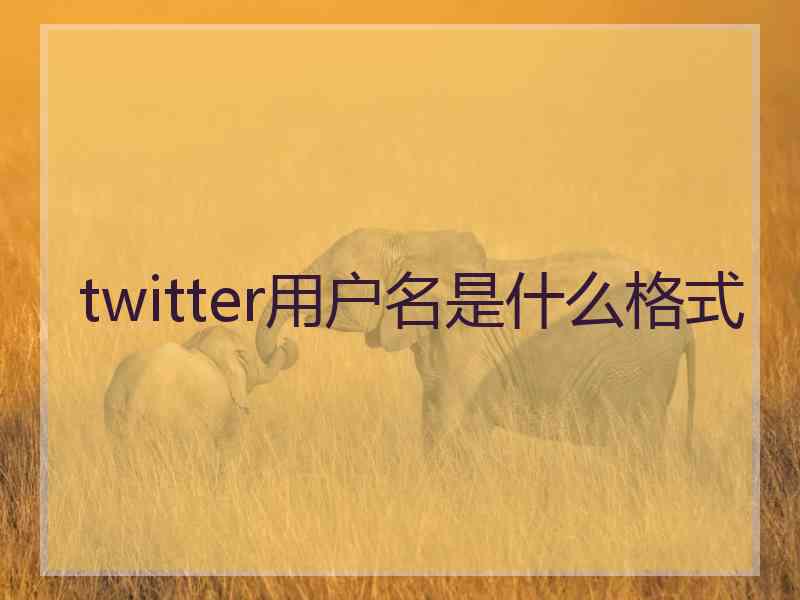 twitter用户名是什么格式