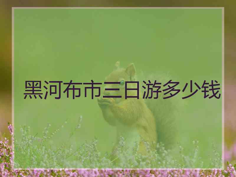 黑河布市三日游多少钱