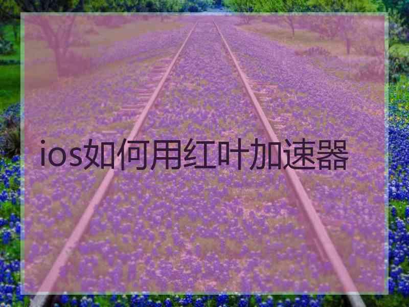 ios如何用红叶加速器