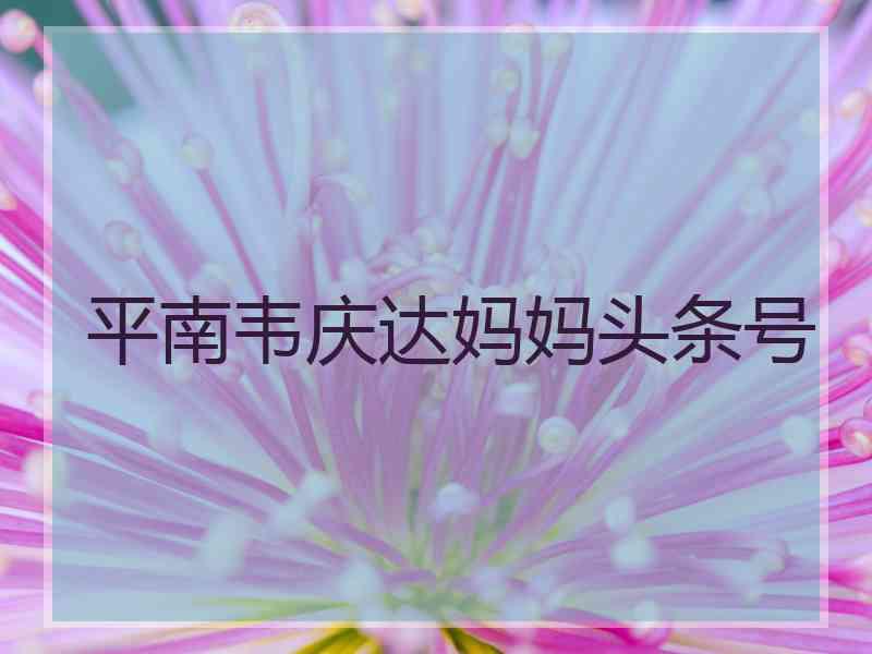 平南韦庆达妈妈头条号