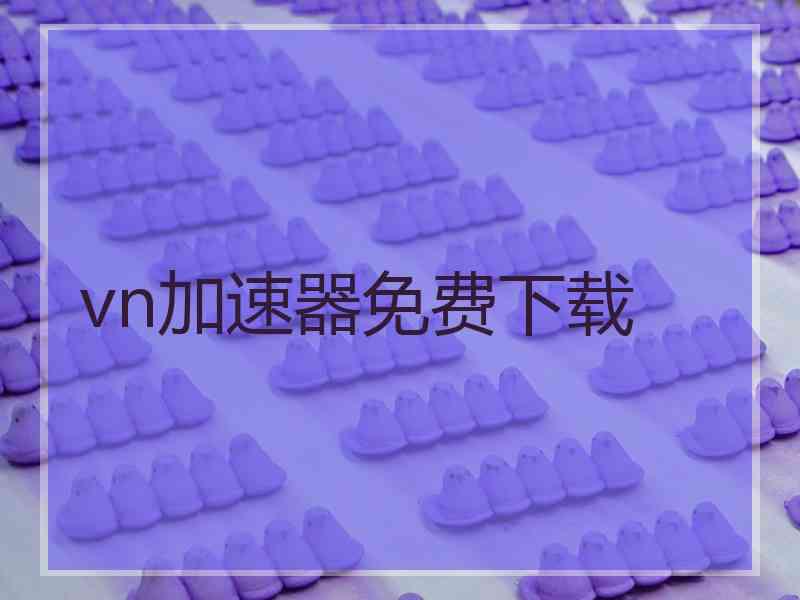 vn加速器免费下载