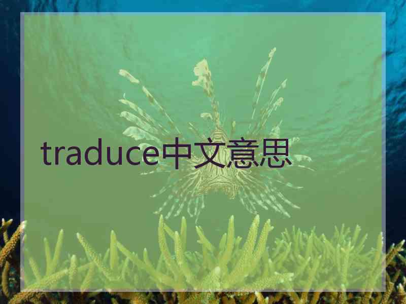 traduce中文意思