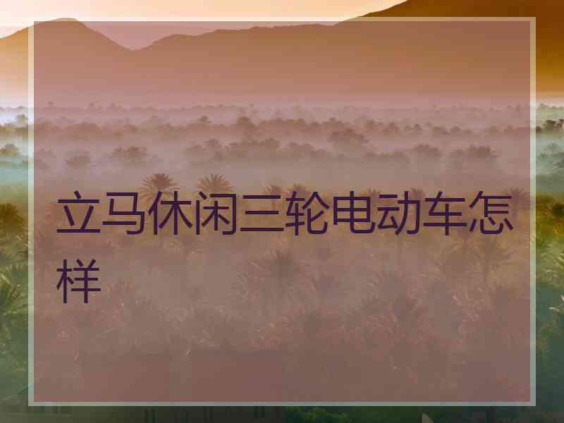 立马休闲三轮电动车怎样