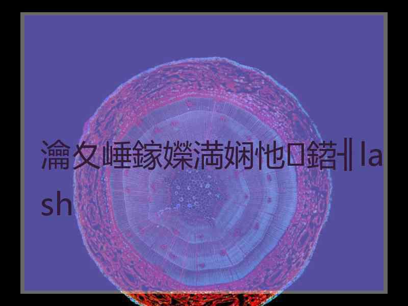 瀹夊崜鎵嬫満娴忚鍣╢lash