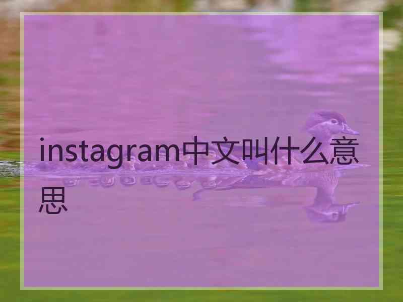instagram中文叫什么意思