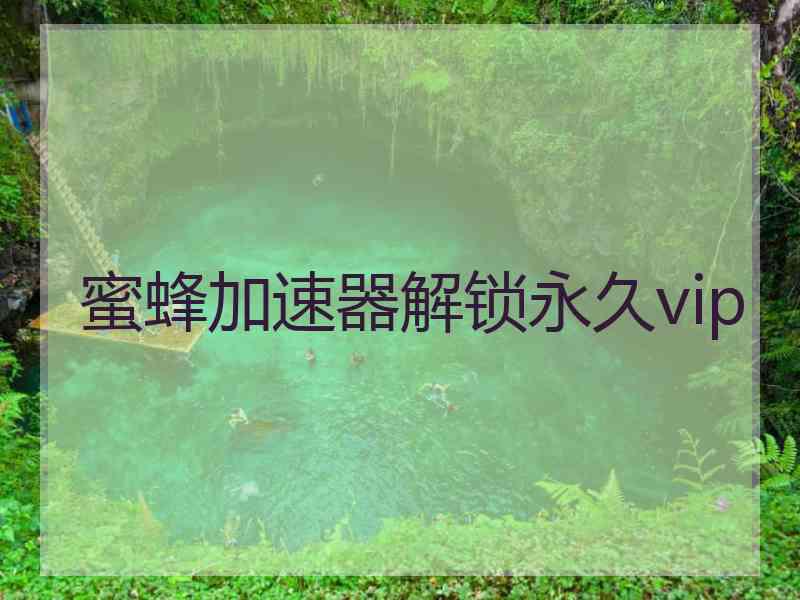 蜜蜂加速器解锁永久vip