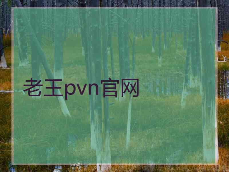 老王pvn官网