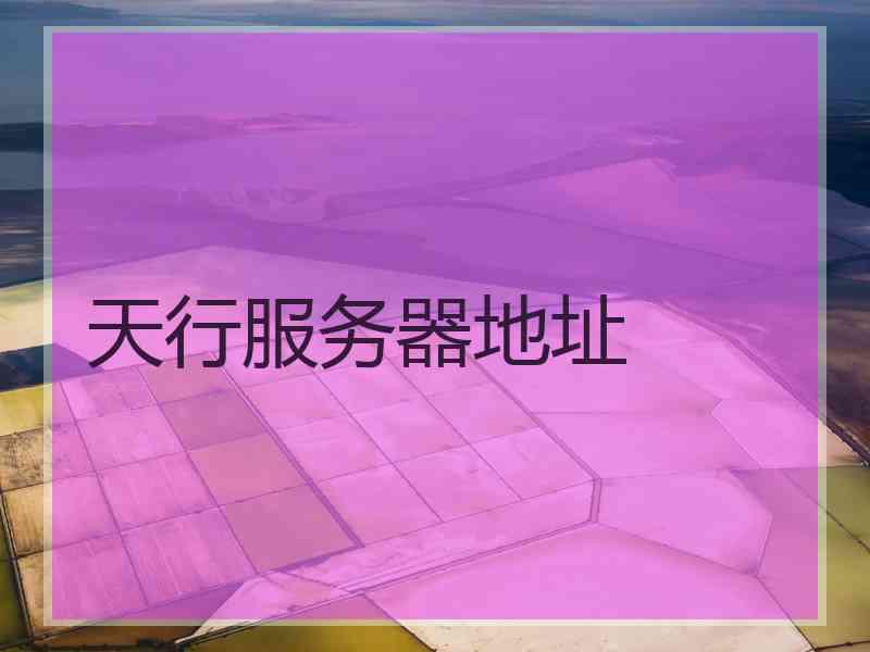 天行服务器地址