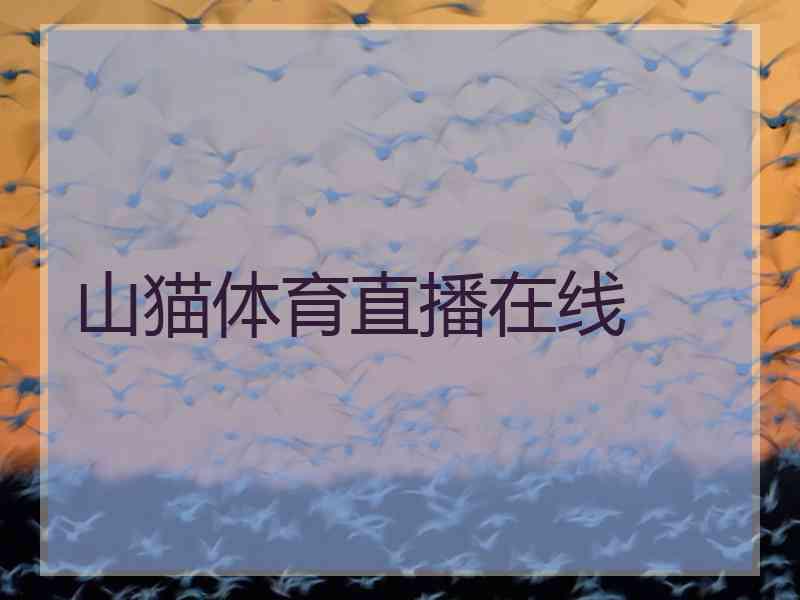 山猫体育直播在线