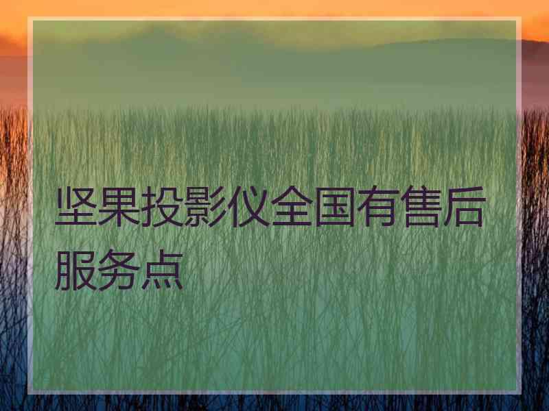 坚果投影仪全国有售后服务点