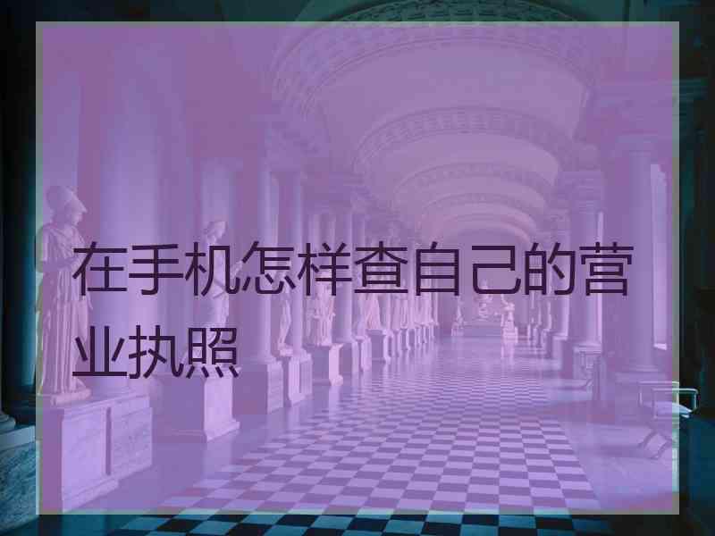 在手机怎样查自己的营业执照