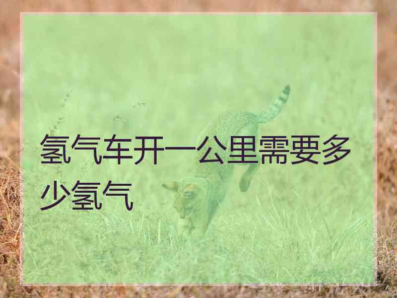氢气车开一公里需要多少氢气