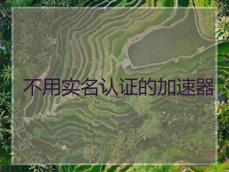 不用实名认证的加速器