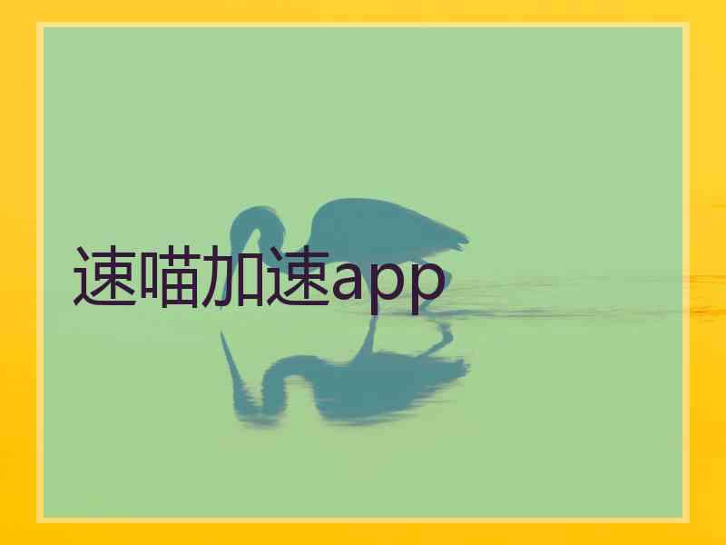 速喵加速app