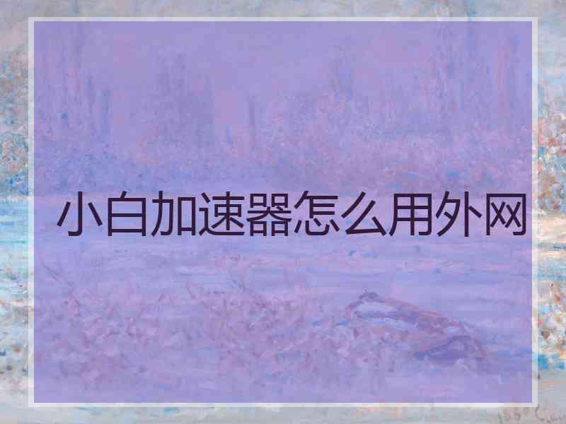 小白加速器怎么用外网