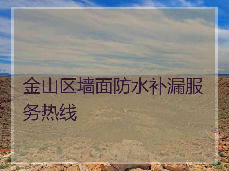 金山区墙面防水补漏服务热线