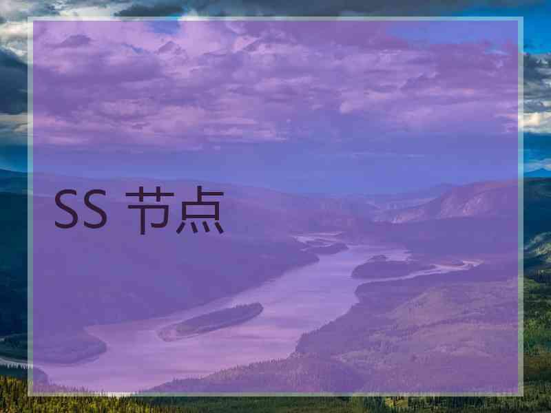 SS 节点