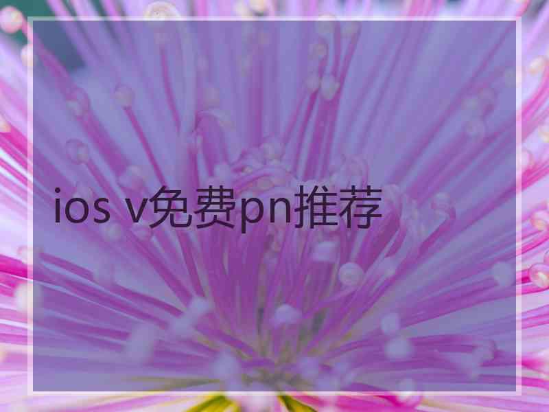 ios v免费pn推荐
