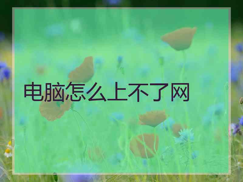 电脑怎么上不了网