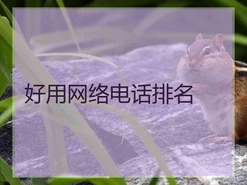 好用网络电话排名
